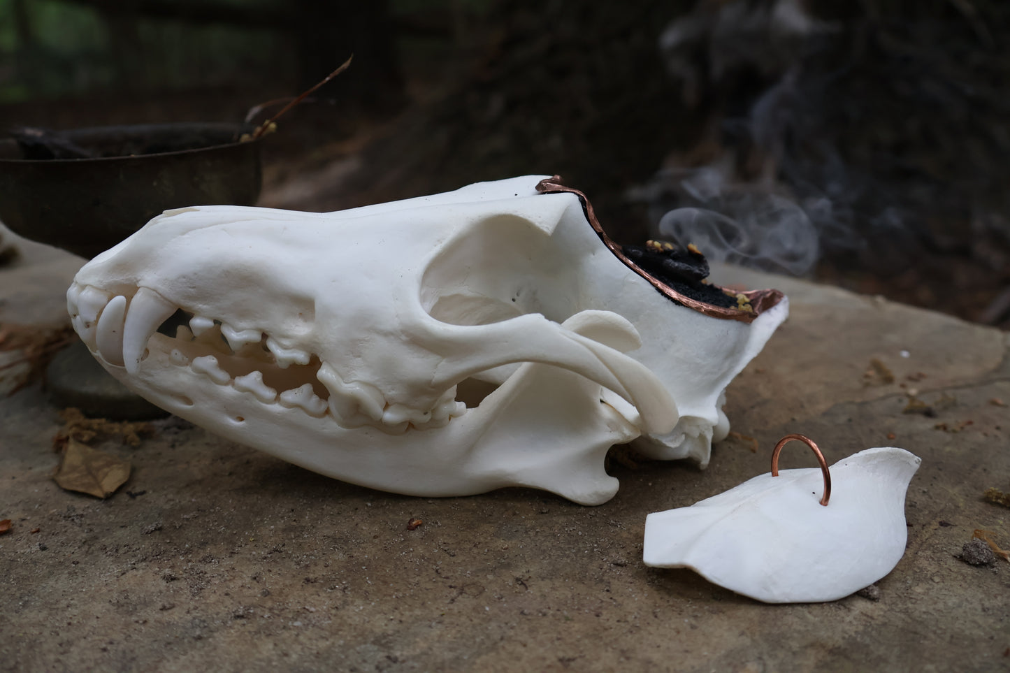 Copper Coyote Skull Offering Bowl