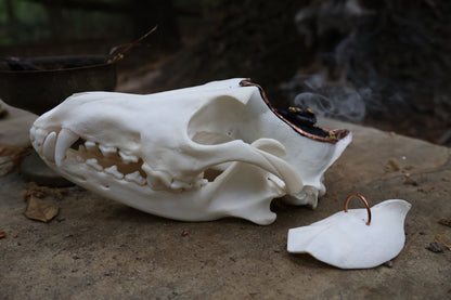 Copper Coyote Skull Offering Bowl