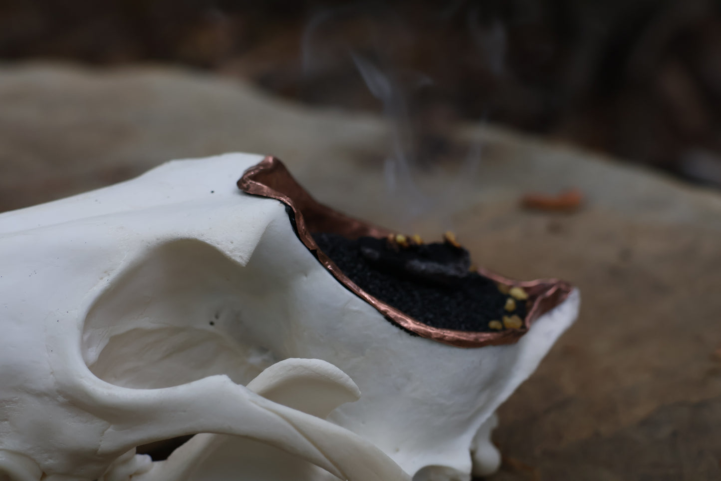 Copper Coyote Skull Offering Bowl