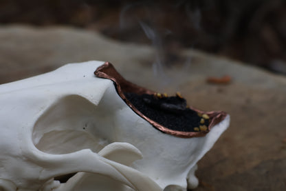 Copper Coyote Skull Offering Bowl