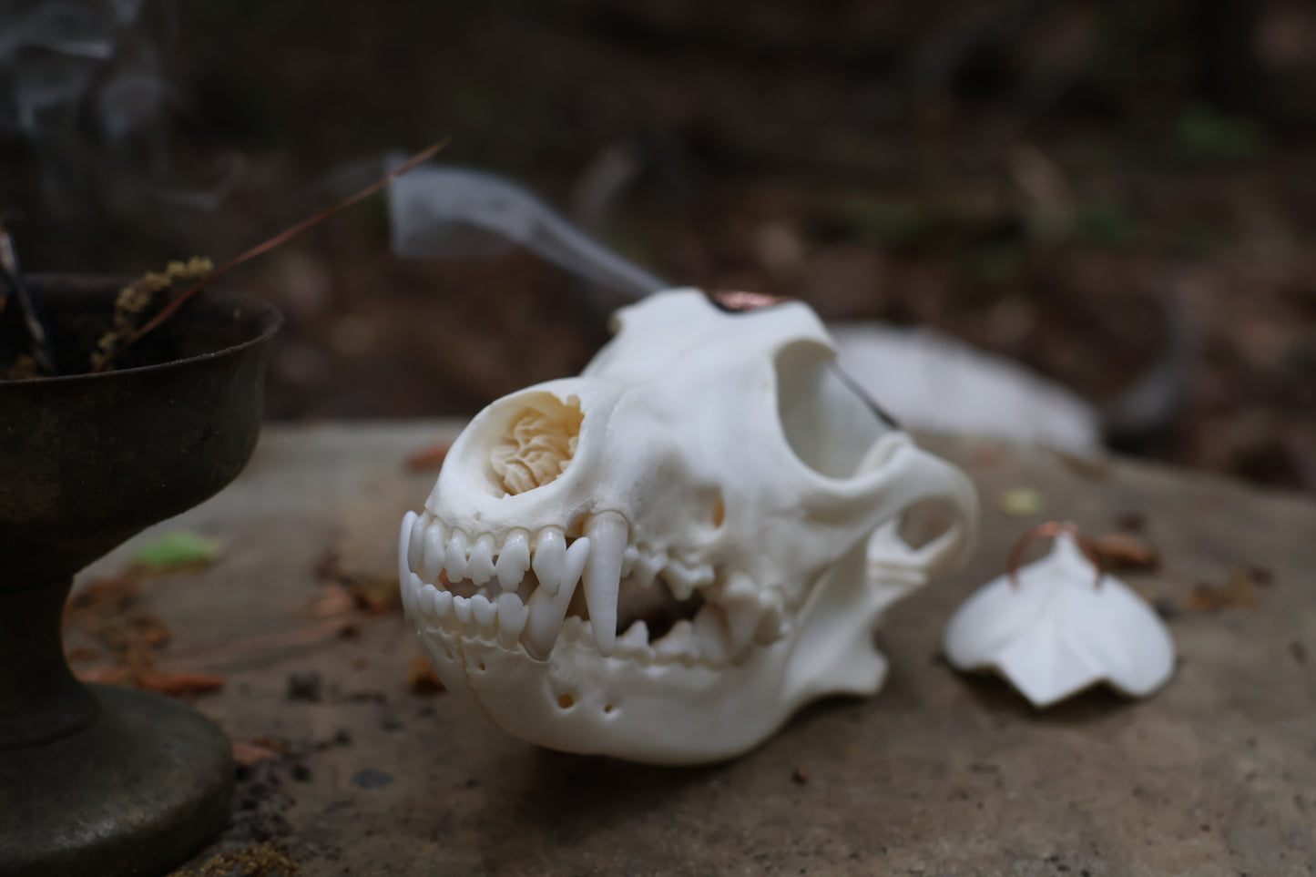 Copper Coyote Skull Offering Bowl