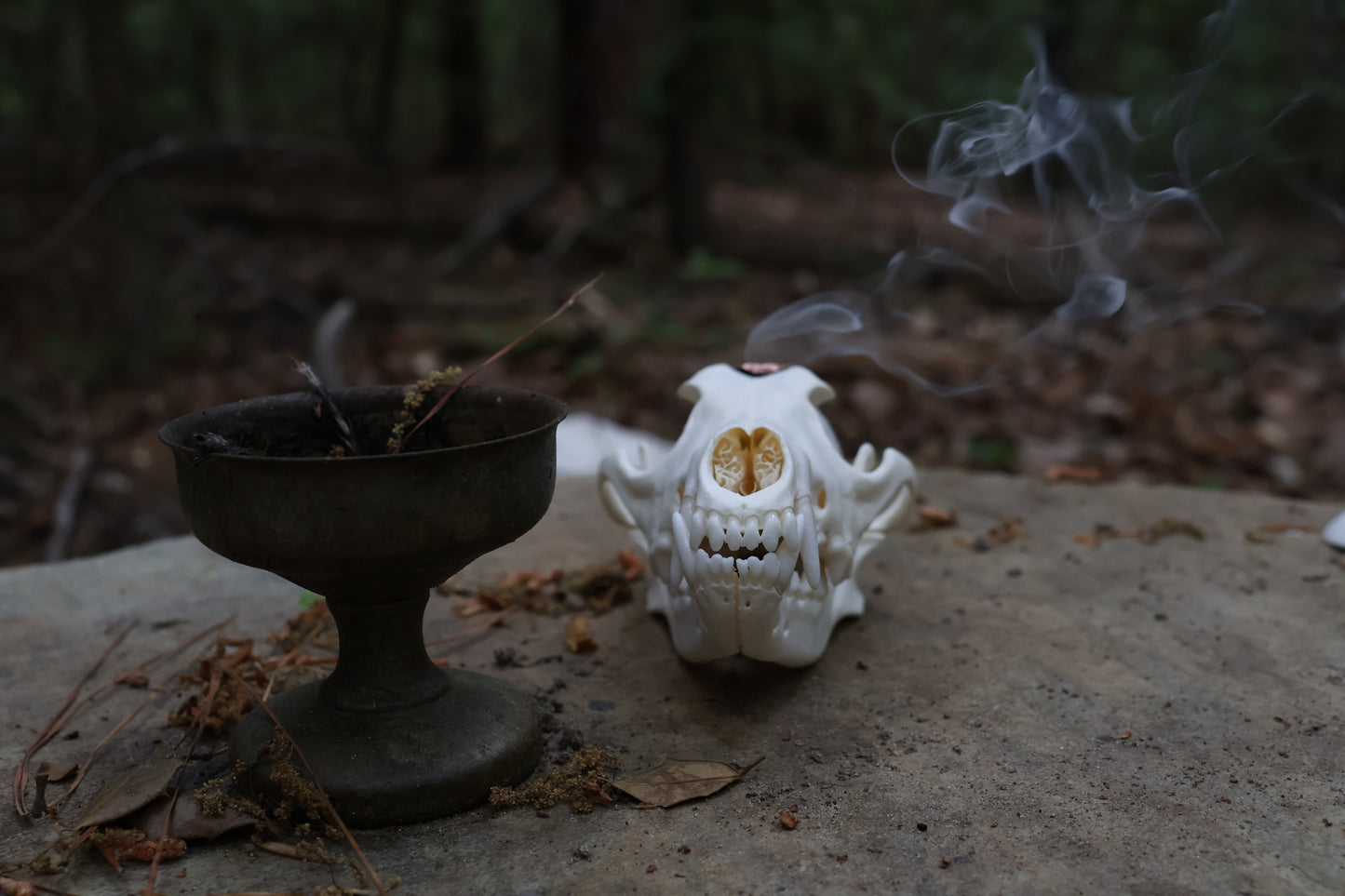Copper Coyote Skull Offering Bowl
