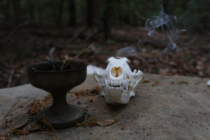 Copper Coyote Skull Offering Bowl
