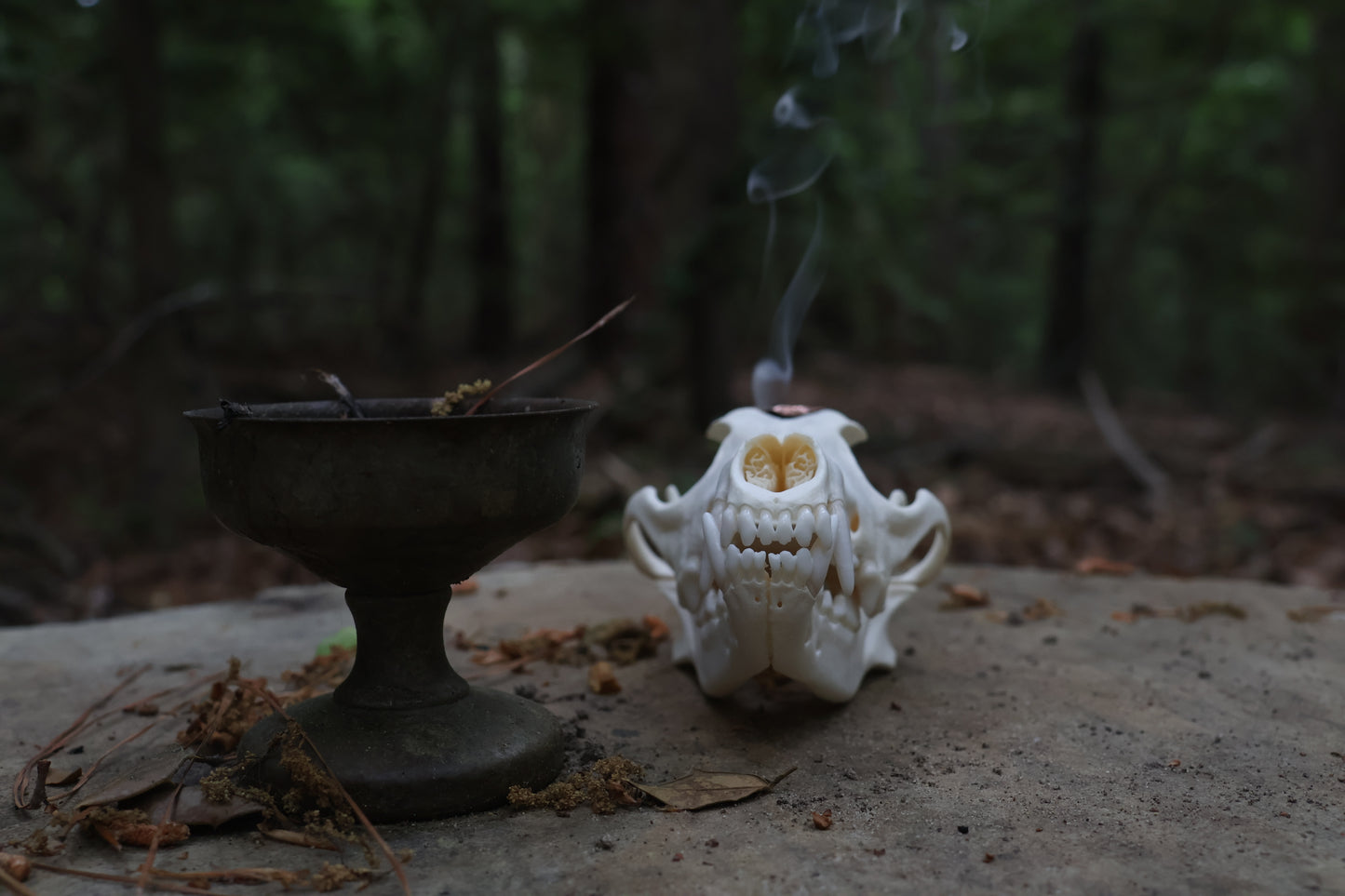 Copper Coyote Skull Offering Bowl