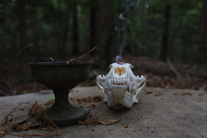 Copper Coyote Skull Offering Bowl