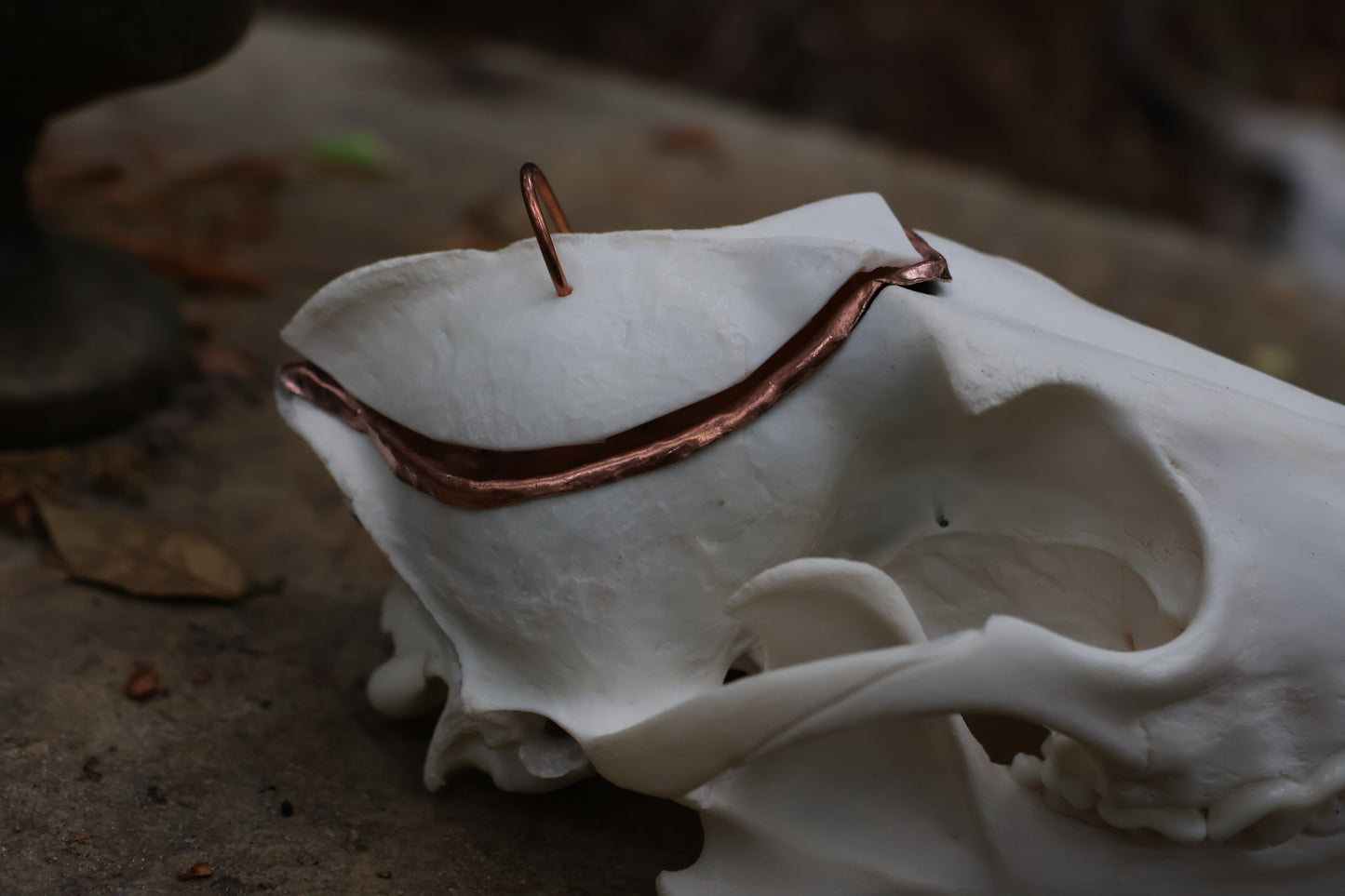 Copper Coyote Skull Offering Bowl