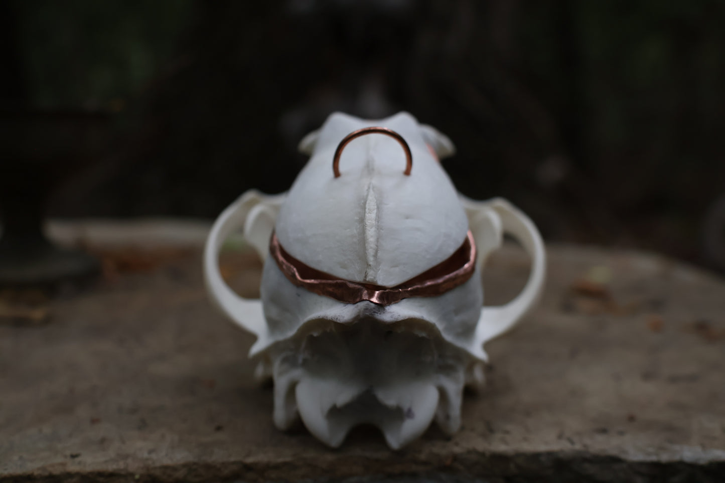 Copper Coyote Skull Offering Bowl