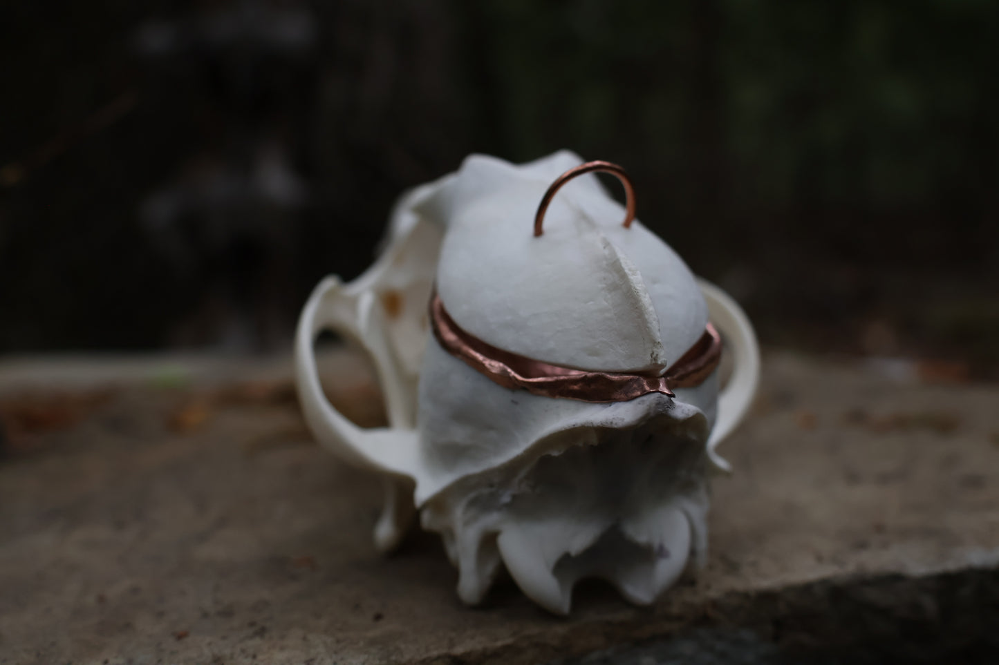 Copper Coyote Skull Offering Bowl
