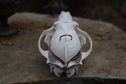 Copper Coyote Skull Offering Bowl