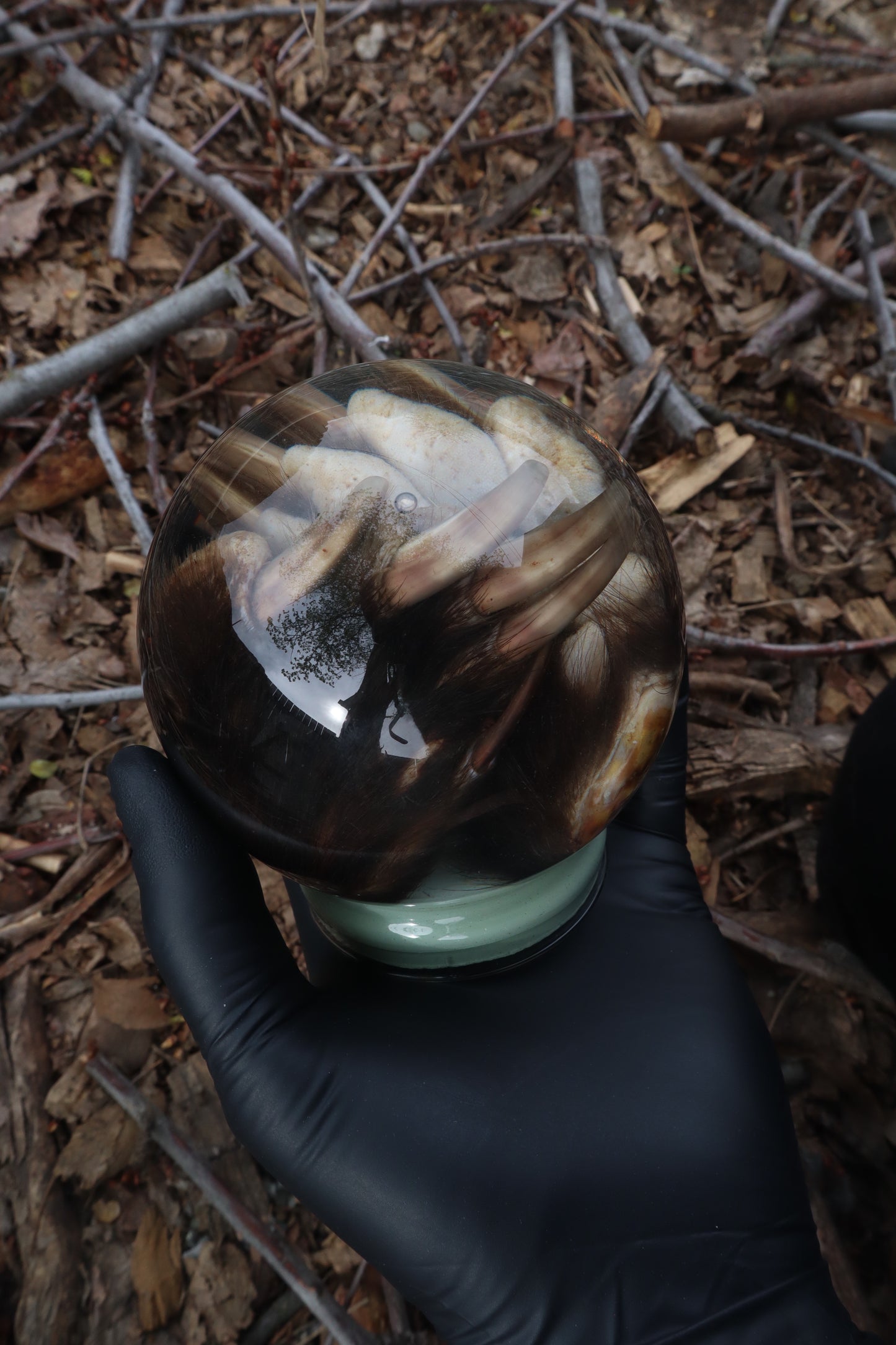 Badger Paw Crystal Ball