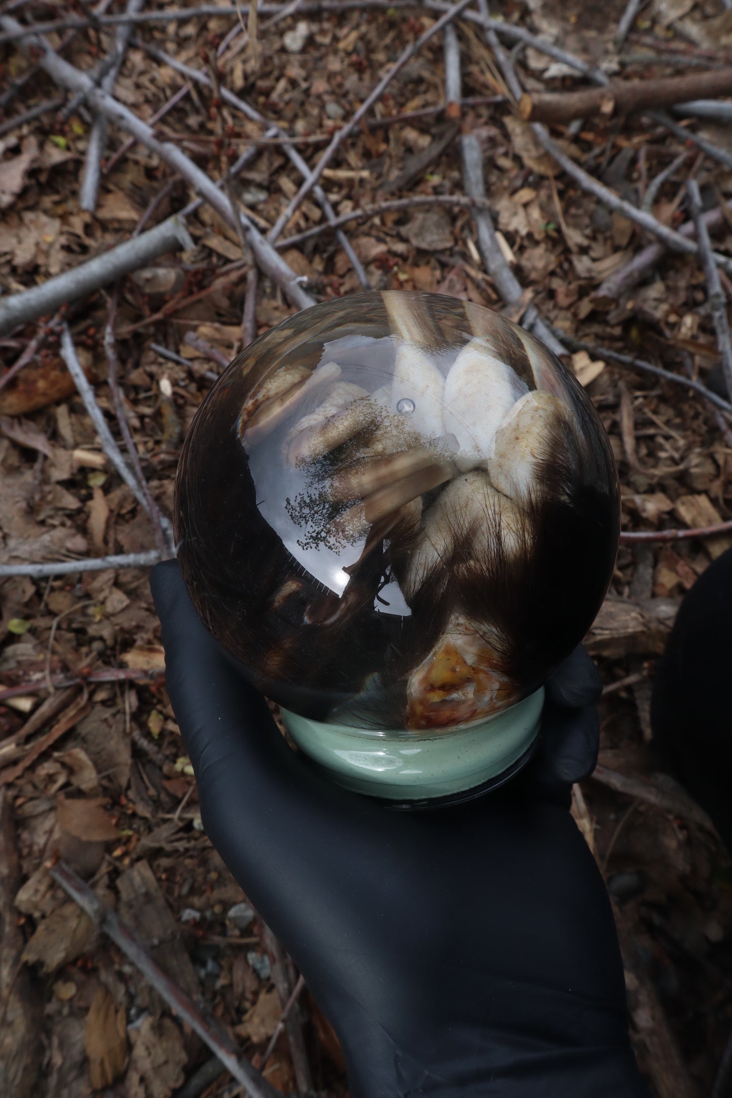 Badger Paw Crystal Ball