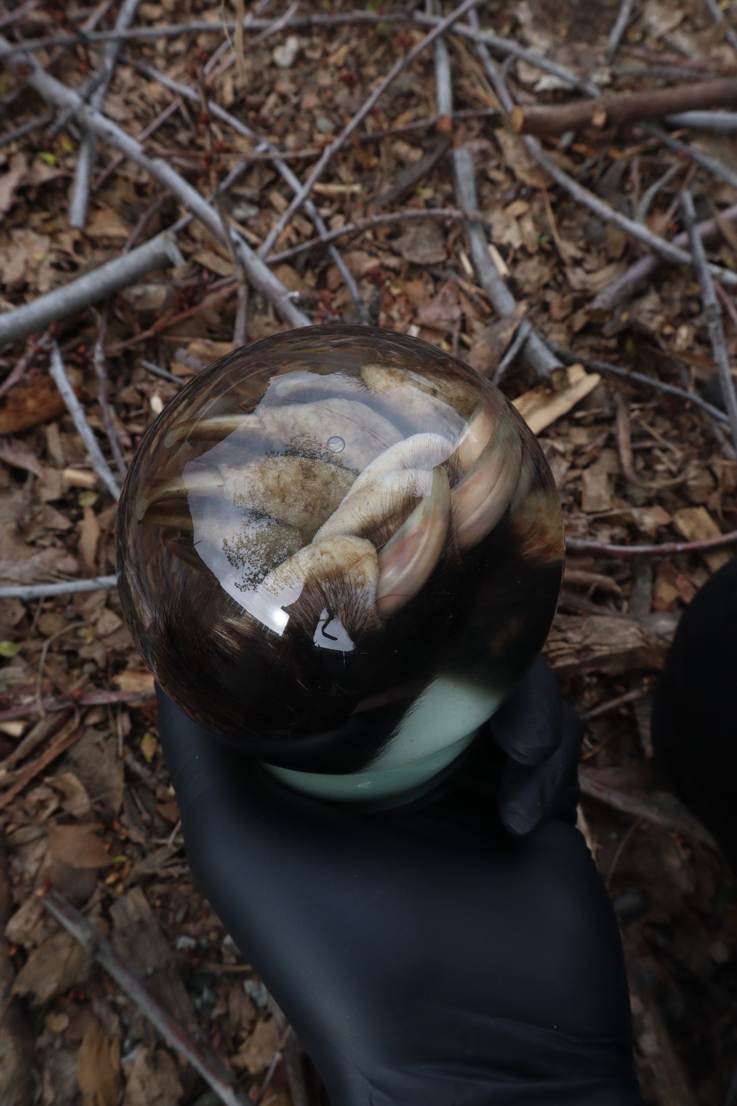 Badger Paw Crystal Ball