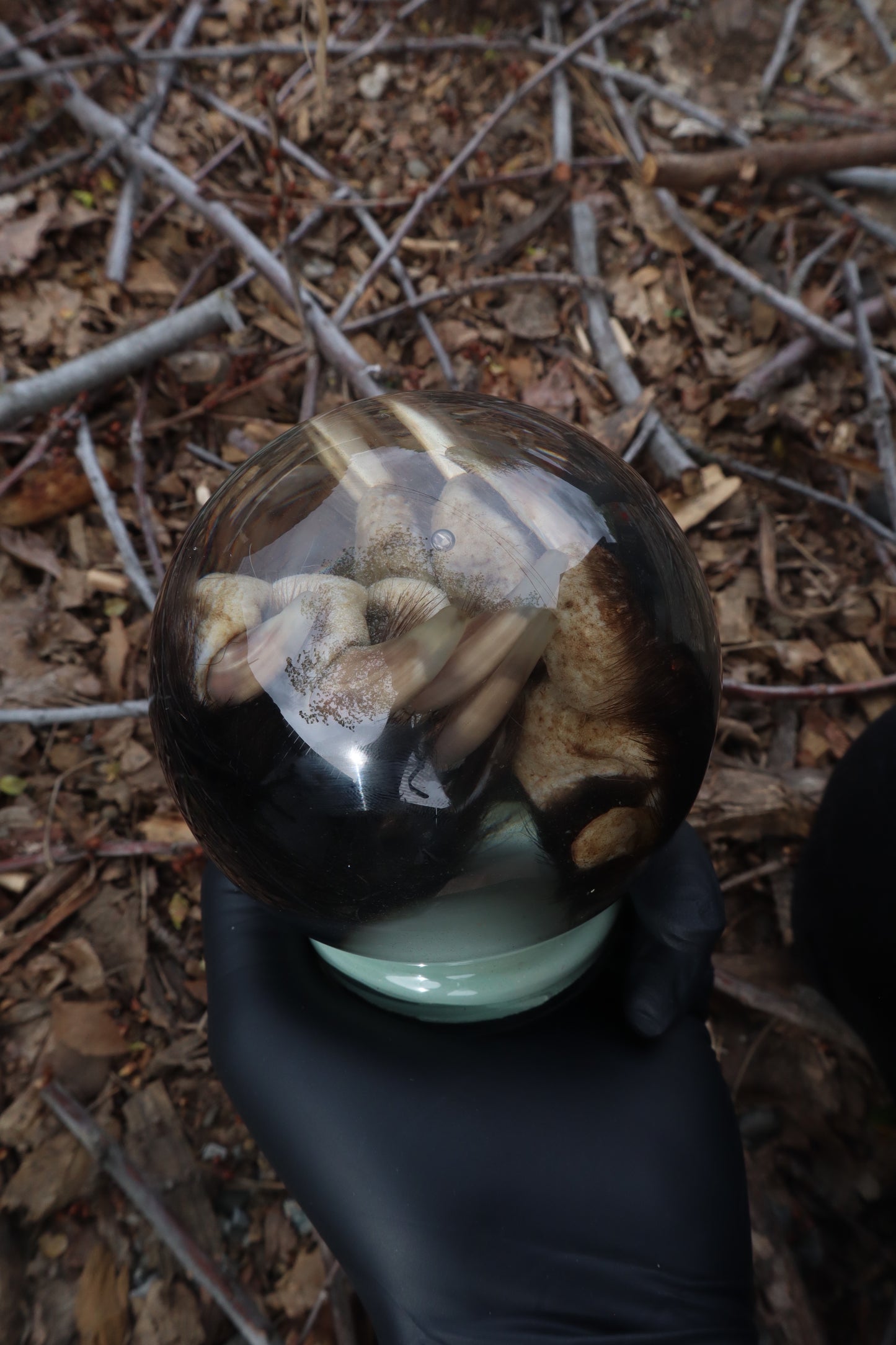 Badger Paw Crystal Ball
