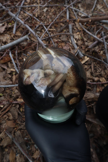 Badger Paw Crystal Ball