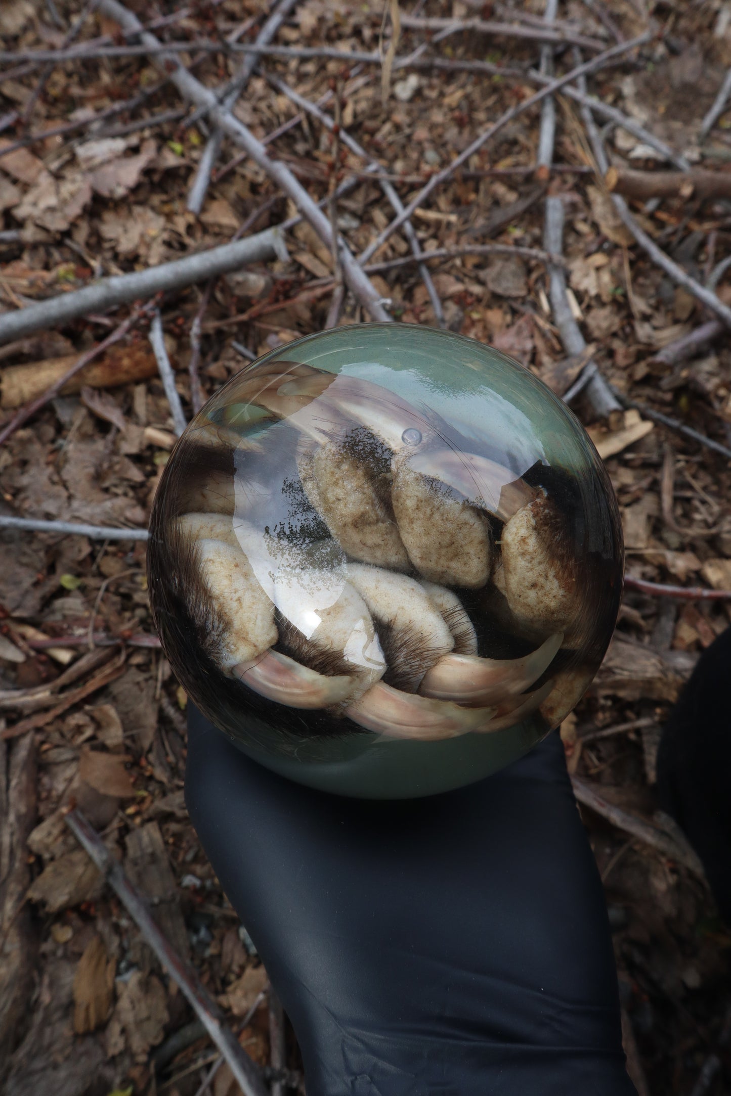 Badger Paw Crystal Ball