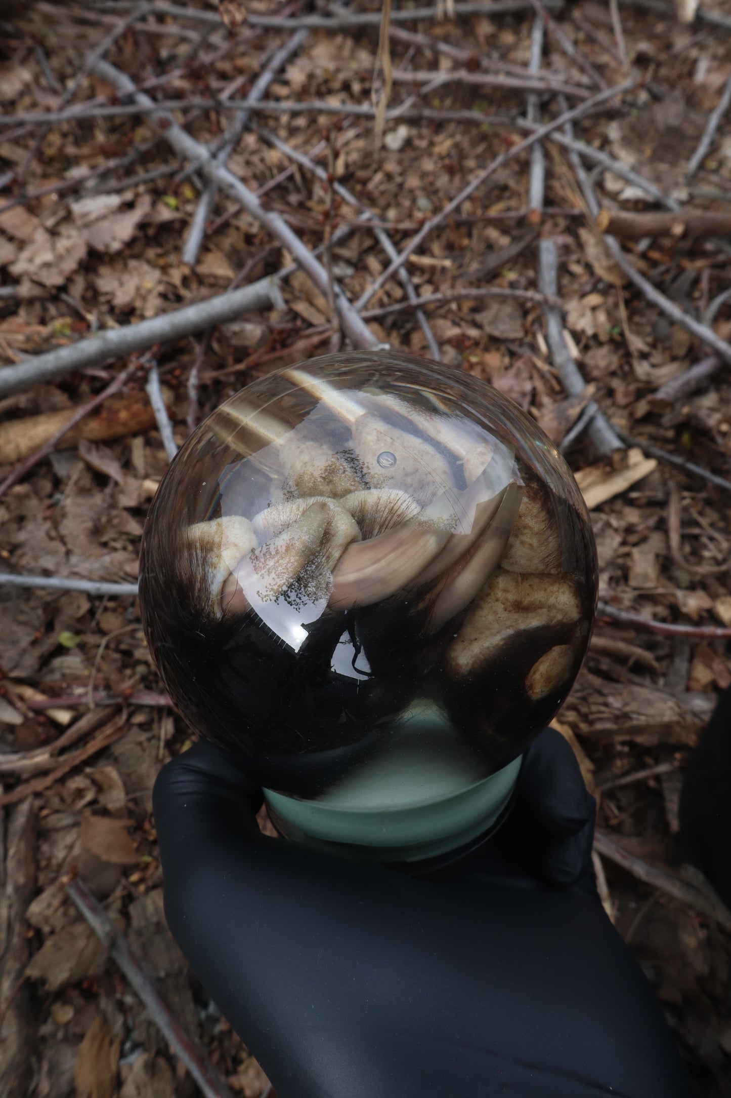 Badger Paw Crystal Ball
