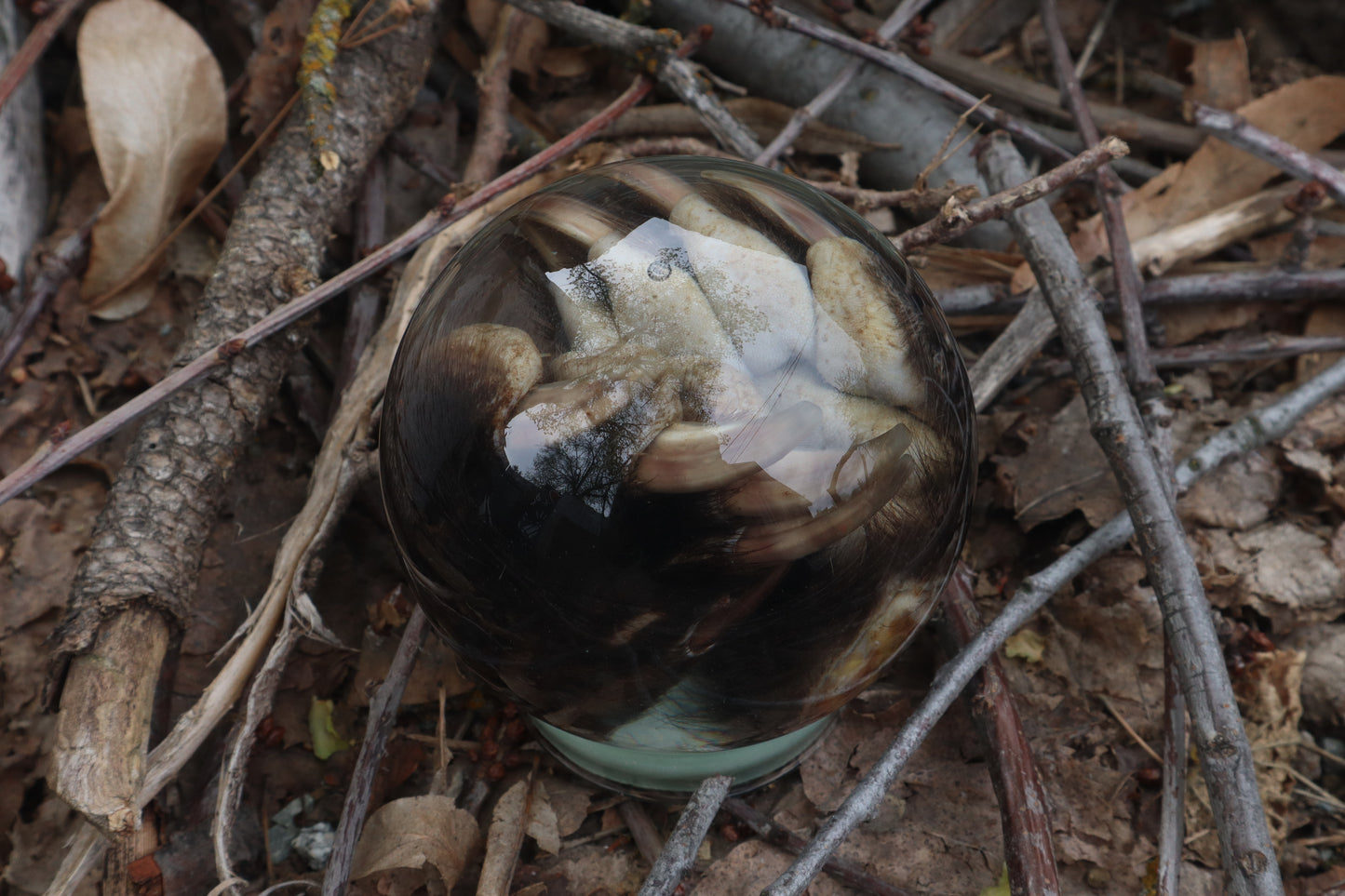 Badger Paw Crystal Ball