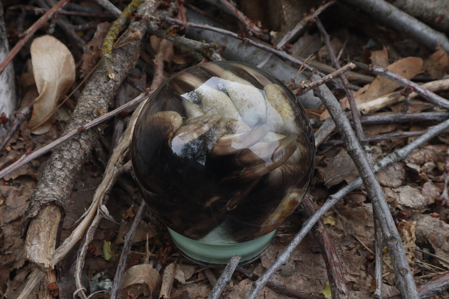 Badger Paw Crystal Ball