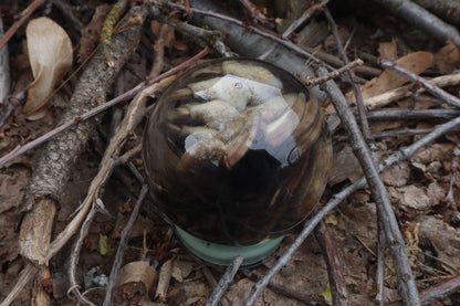 Badger Paw Crystal Ball