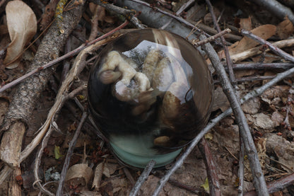 Badger Paw Crystal Ball
