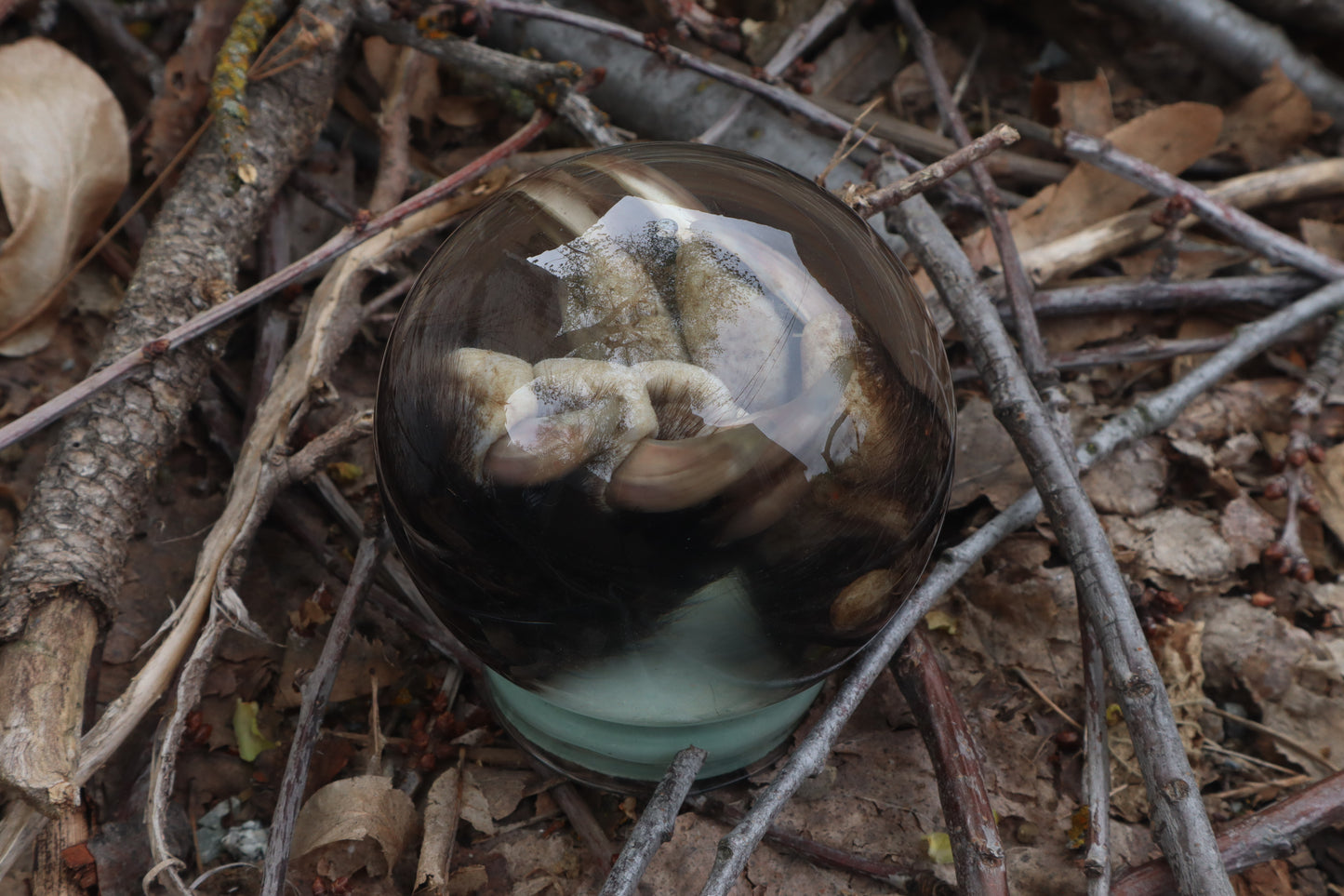 Badger Paw Crystal Ball