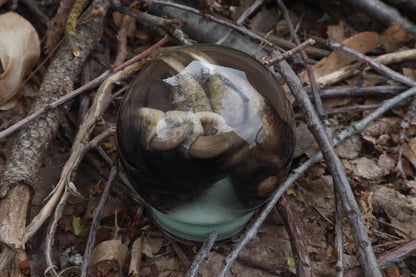 Badger Paw Crystal Ball