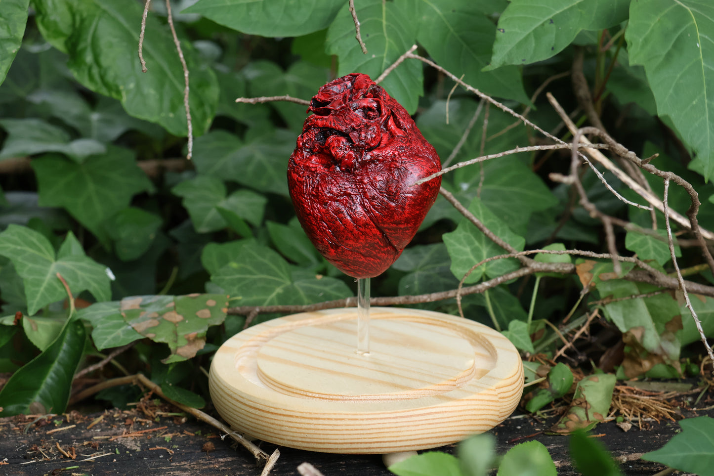 Dry Preserved Coyote Heart