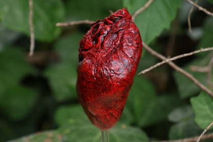Dry Preserved Coyote Heart