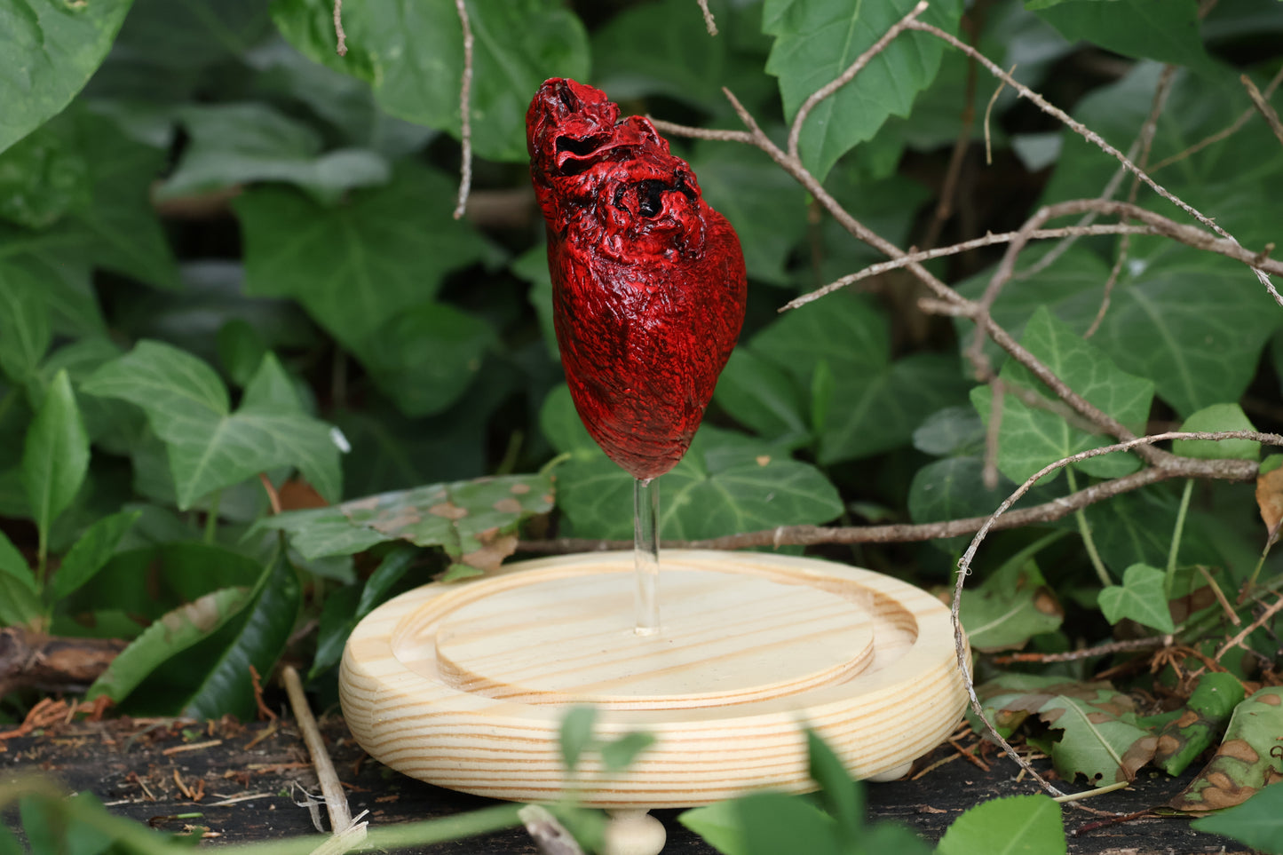 Dry Preserved Coyote Heart