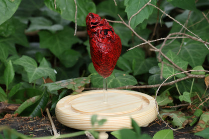 Dry Preserved Coyote Heart