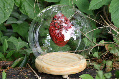 Dry Preserved Coyote Heart