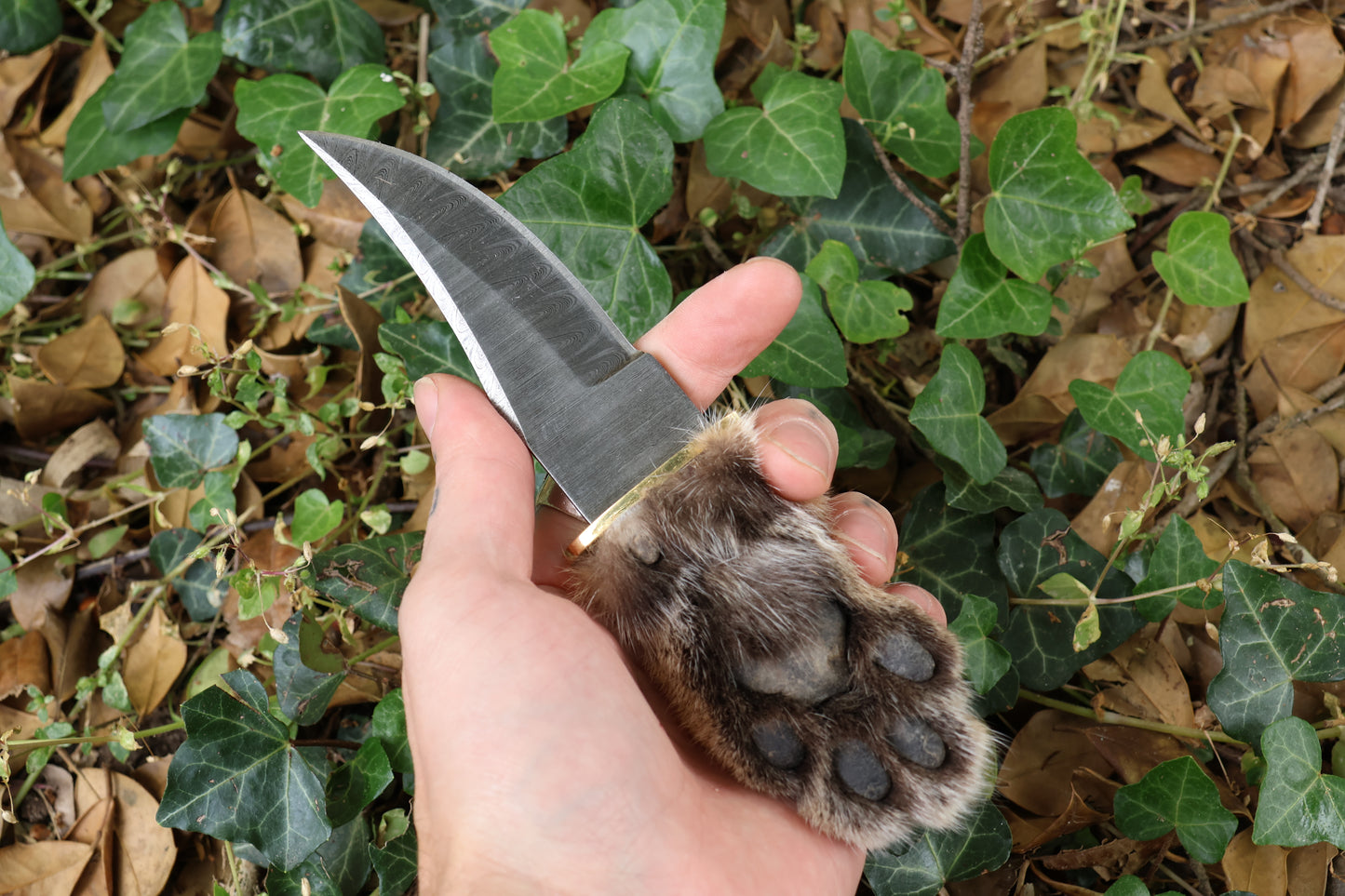 Damascus Bobcat Paw Knife