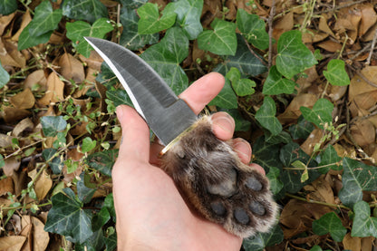 Damascus Bobcat Paw Knife