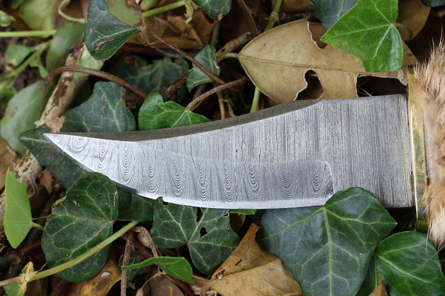 Damascus Bobcat Paw Knife