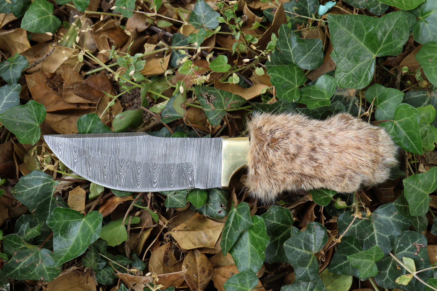 Damascus Bobcat Paw Knife
