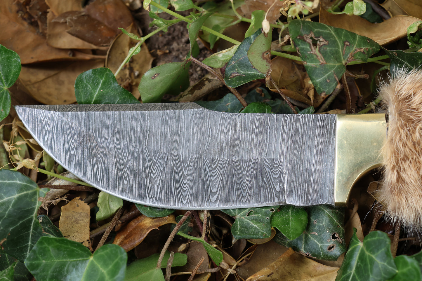 Damascus Bobcat Paw Knife