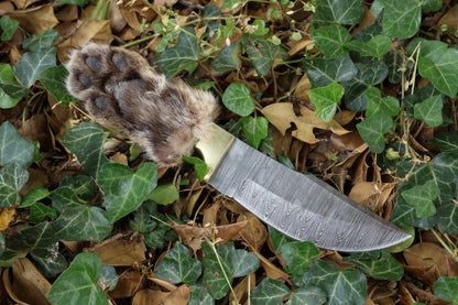 Damascus Bobcat Paw Knife