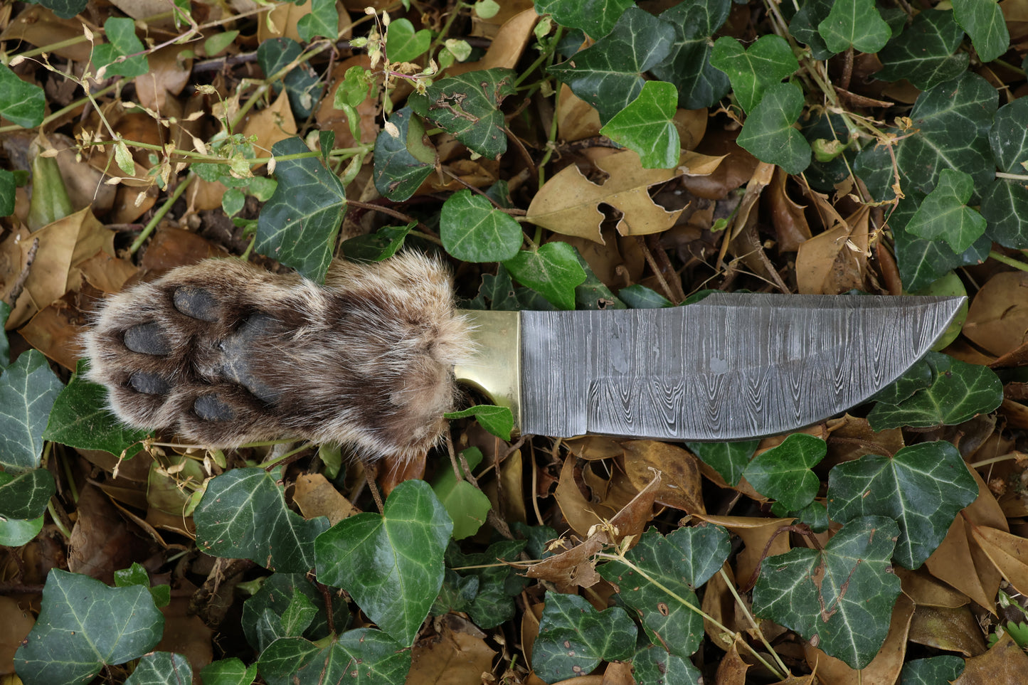Damascus Bobcat Paw Knife