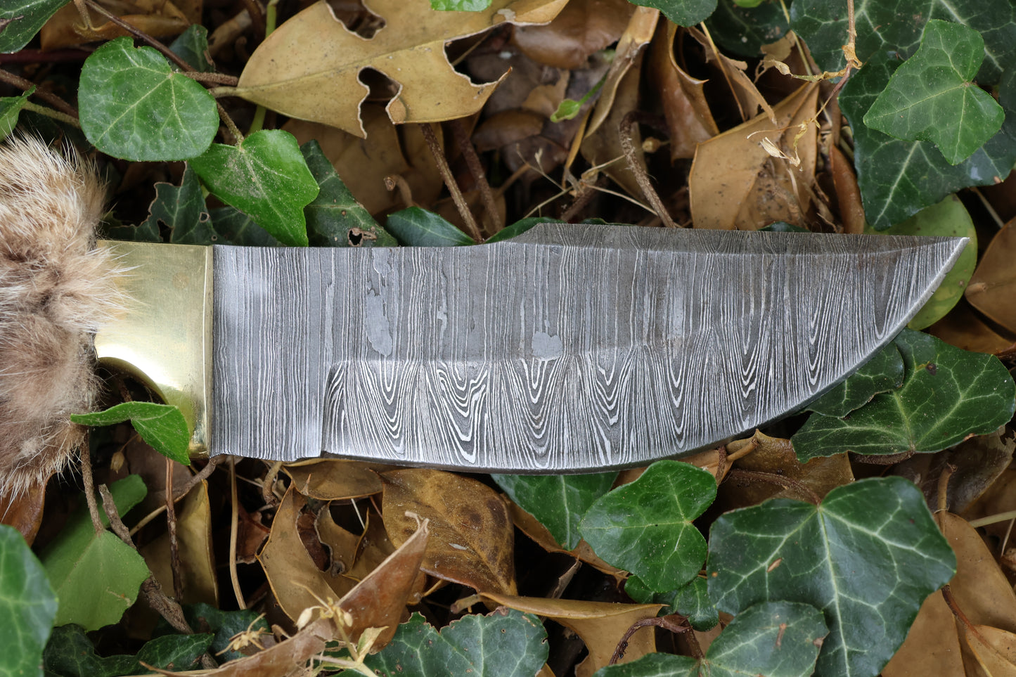 Damascus Bobcat Paw Knife