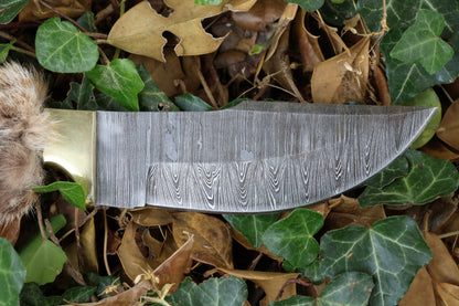 Damascus Bobcat Paw Knife