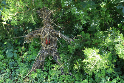 Red Fox Effigy