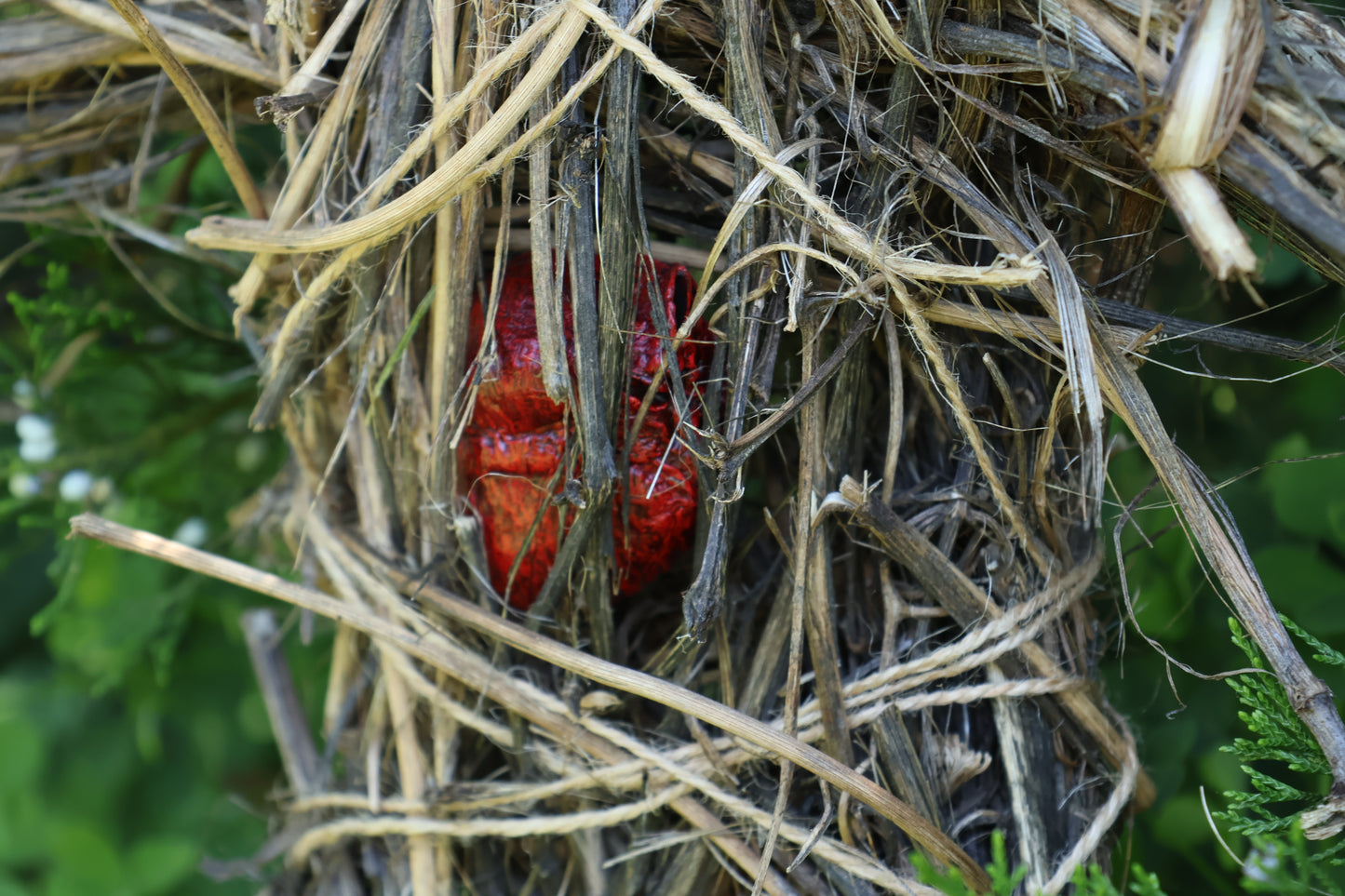 Red Fox Effigy
