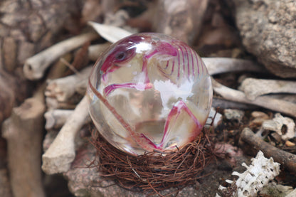 Diaphonized Mouse Crystal Ball