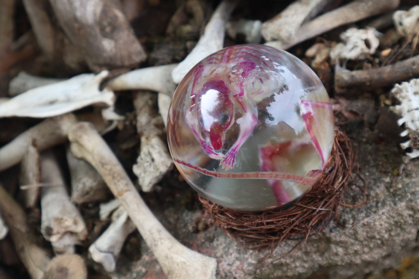 Diaphonized Mouse Crystal Ball