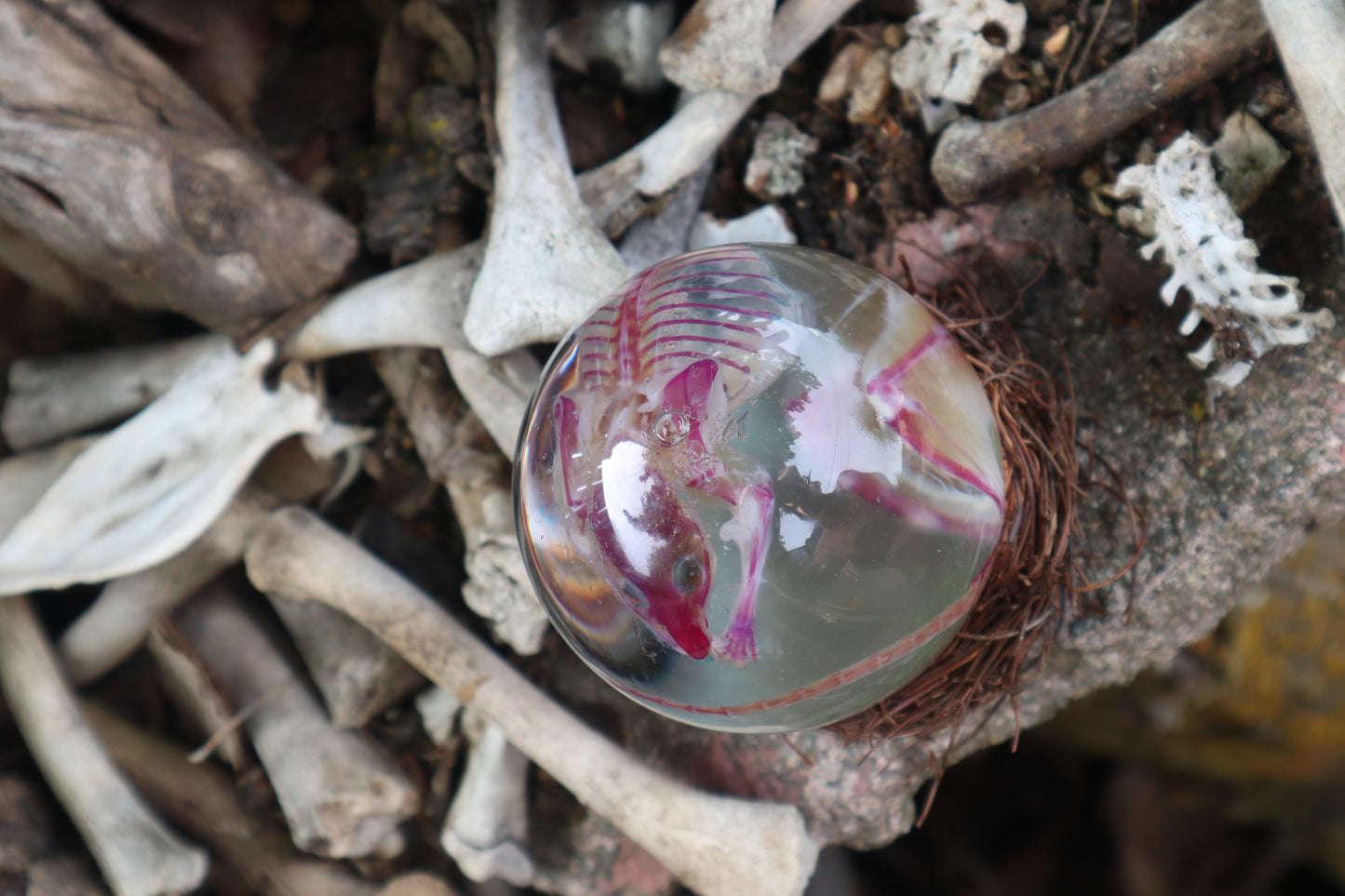 Diaphonized Mouse Crystal Ball