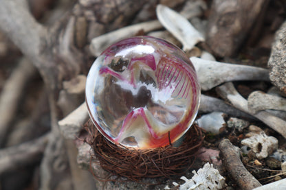 Diaphonized Mouse Crystal Ball