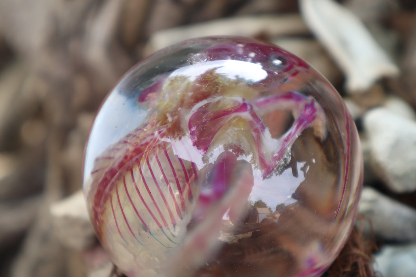 Diaphonized Mouse Crystal Ball