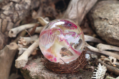 Diaphonized Mouse Crystal Ball