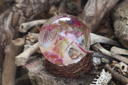 Diaphonized Mouse Crystal Ball
