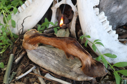 Reserved for Sammy - Goat Hoof Incense Burner
